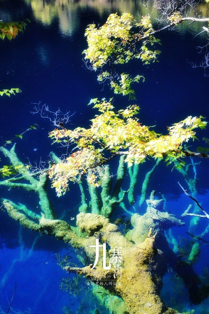 海底世界填颜色3