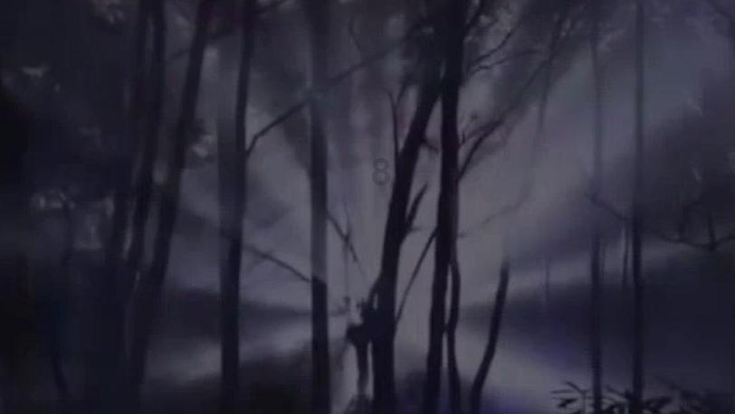 理财专员